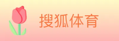 搜狐体育 Logo
